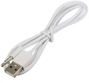 Aux to usb power charger