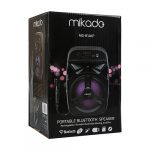 Mikrofon + FM + Bluetooth Zvučnik